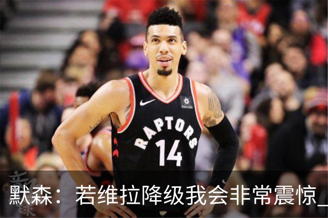 默森：若维拉降级我会非常震惊 阿森纳将以两位数积分优势夺冠